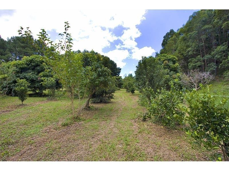 253 Palmvale Road, Palmvale NSW 2484