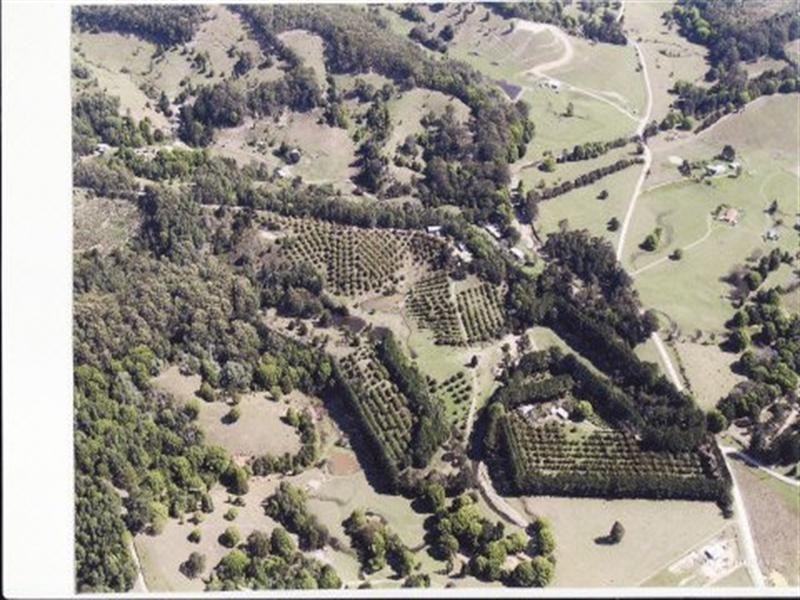 253 Palmvale Road, Palmvale NSW 2484