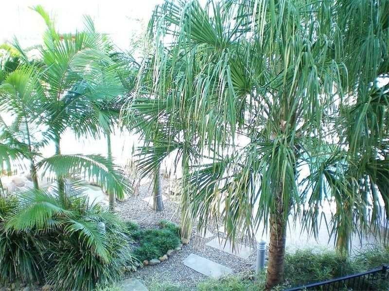 Unit 5216 Gunnammatta Avenue, Kingscliff NSW 2487