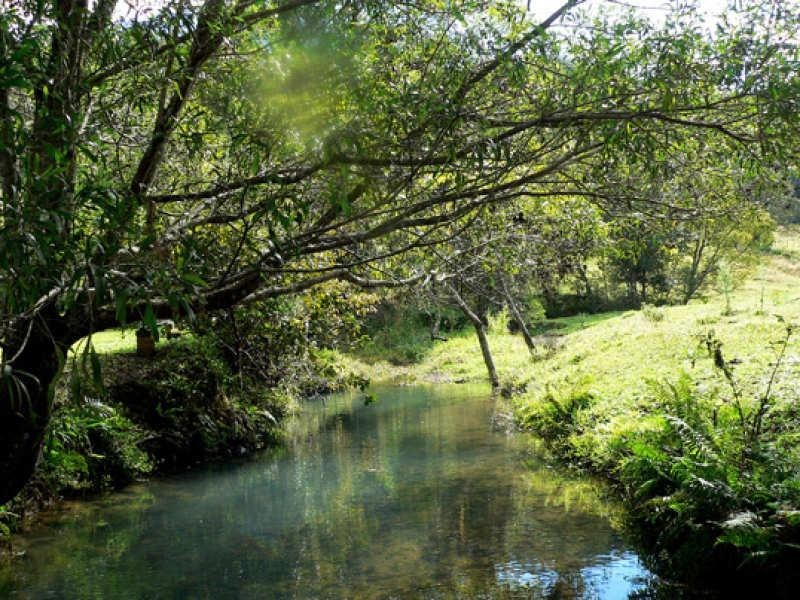 Lot 2/298 Dungay Creek Road, Murwillumbah NSW 2484