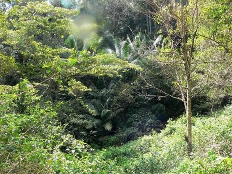 Lot 2/298 Dungay Creek Road, Murwillumbah NSW 2484