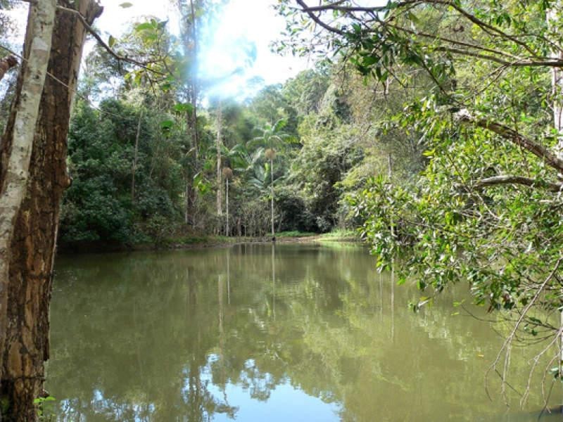 Lot 2/298 Dungay Creek Road, Murwillumbah NSW 2484