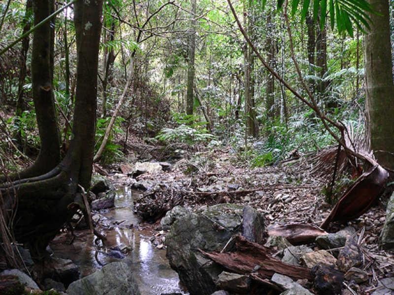 Lot 2/298 Dungay Creek Road, Murwillumbah NSW 2484