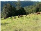 Lot 1/298 Dungay Creek Road, Murwillumbah NSW 2484