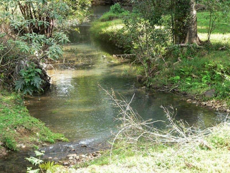 Lot 1/298 Dungay Creek Road, Murwillumbah NSW 2484