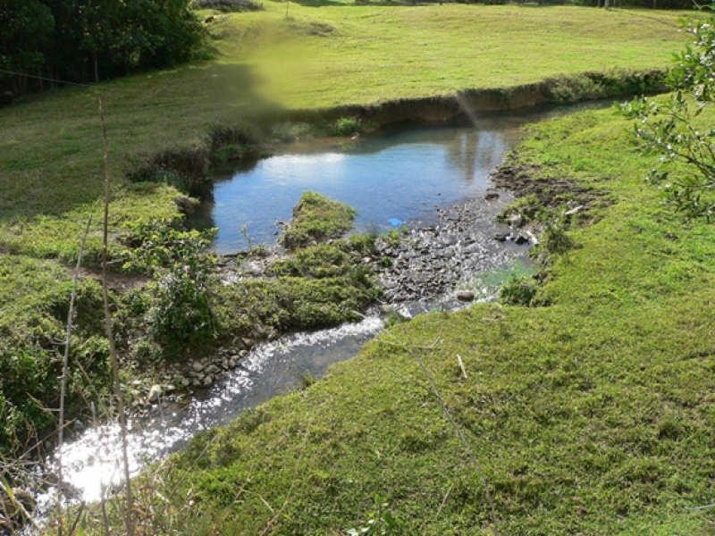 Lot 1/298 Dungay Creek Road, Murwillumbah NSW 2484