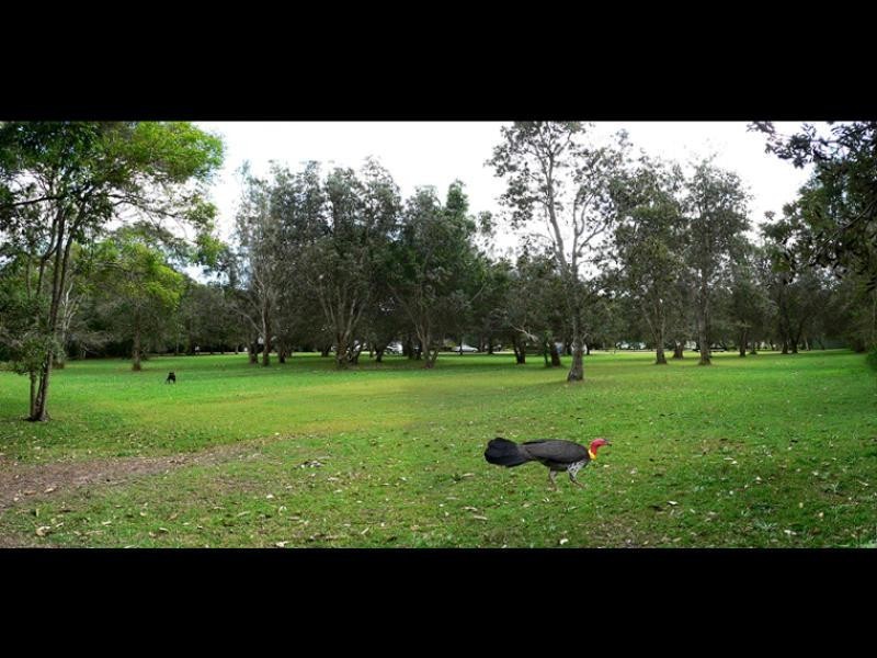 8 Phillip Street, Chinderah NSW 2487