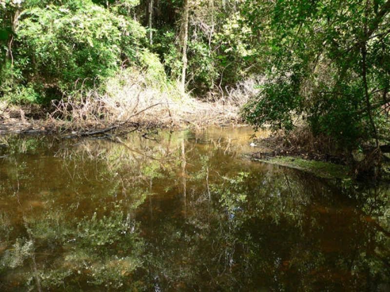 8 Phillip Street, Chinderah NSW 2487