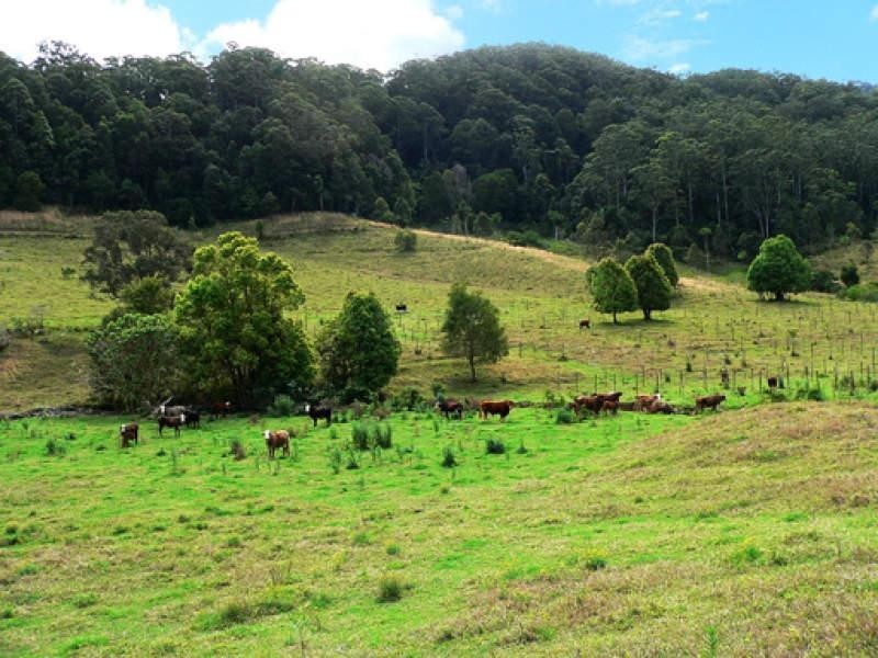 Lot 3/298 Dungay Creek Road, Murwillumbah NSW 2484