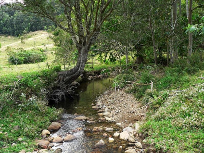 Lot 3/298 Dungay Creek Road, Murwillumbah NSW 2484