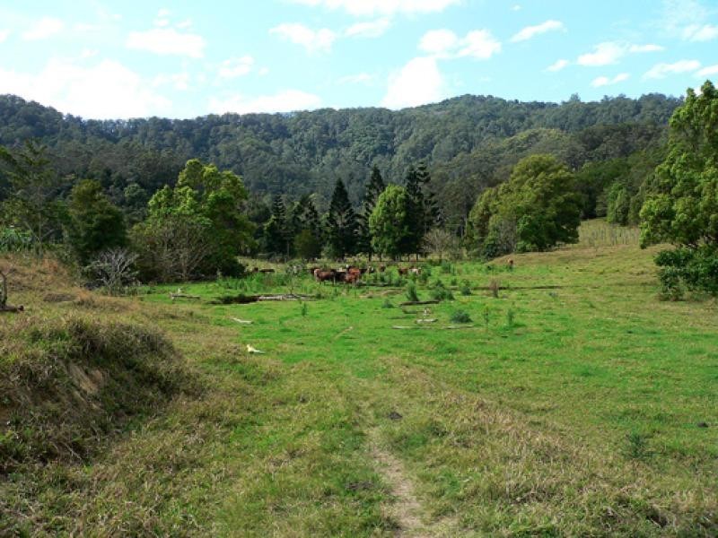Lot 3/298 Dungay Creek Road, Murwillumbah NSW 2484