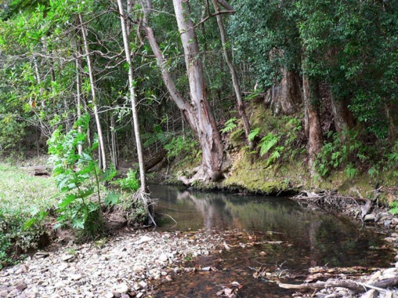 Lot 3/298 Dungay Creek Road, Murwillumbah NSW 2484