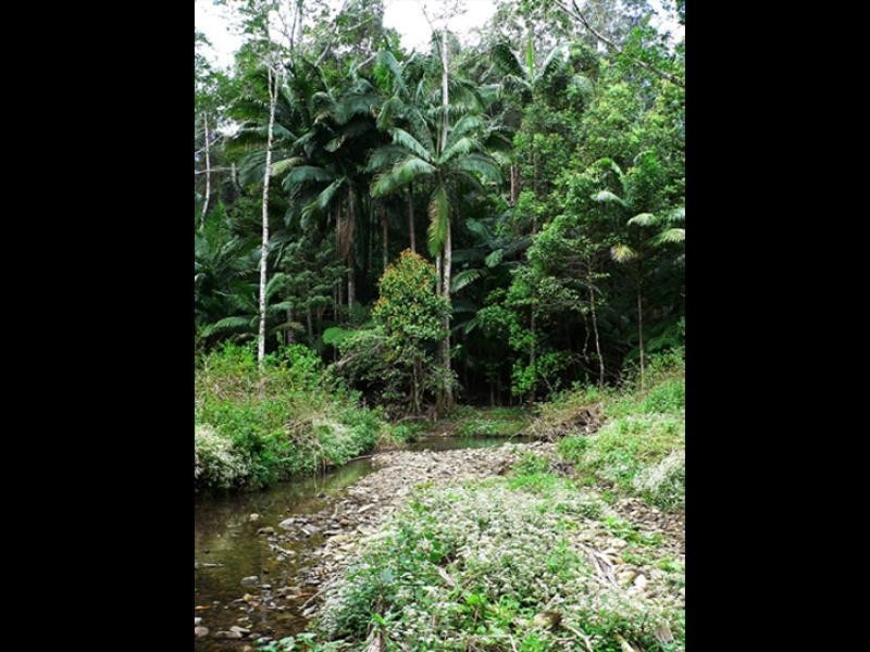 Lot 3/298 Dungay Creek Road, Murwillumbah NSW 2484
