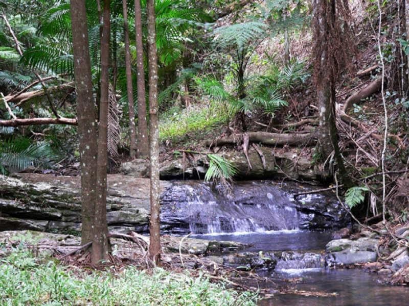 Lot 3/298 Dungay Creek Road, Murwillumbah NSW 2484