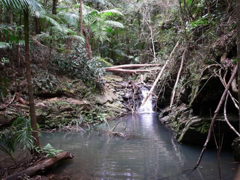 Lot 3/298 Dungay Creek Road, Murwillumbah NSW 2484