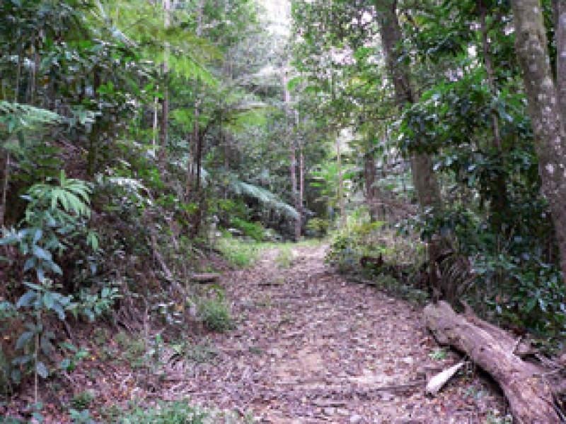Lot 3/298 Dungay Creek Road, Murwillumbah NSW 2484