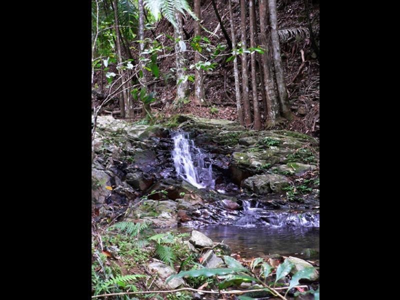 Lot 3/298 Dungay Creek Road, Murwillumbah NSW 2484