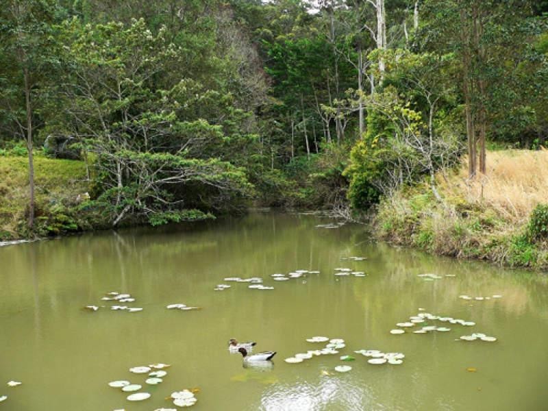 Lot 3/298 Dungay Creek Road, Murwillumbah NSW 2484