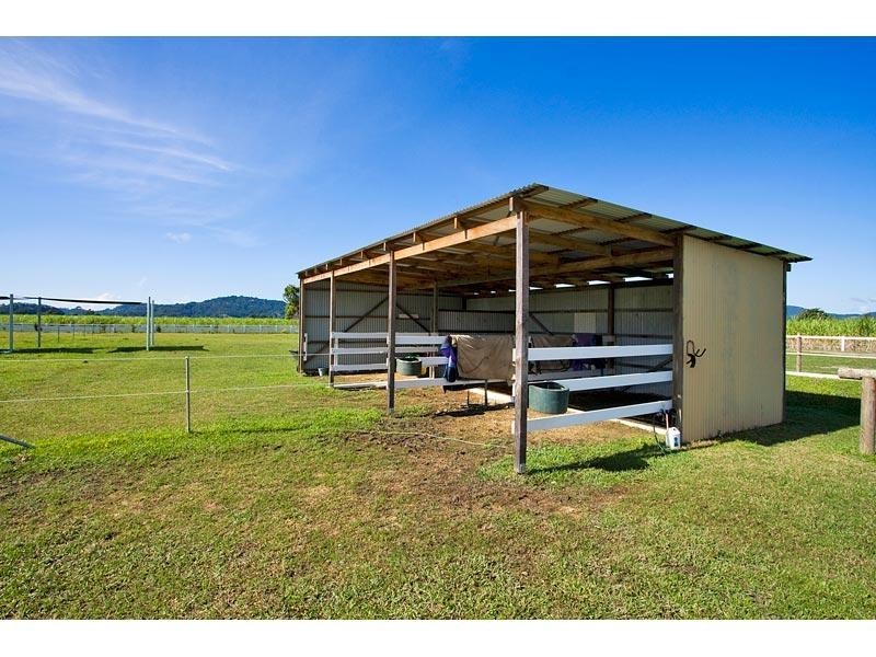 48 Mcleod Street, Condong NSW 2484