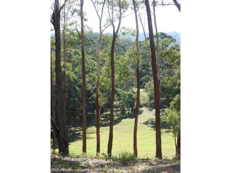 Lot 9 Clothiers Creek Road, Cabarita Beach NSW 2488