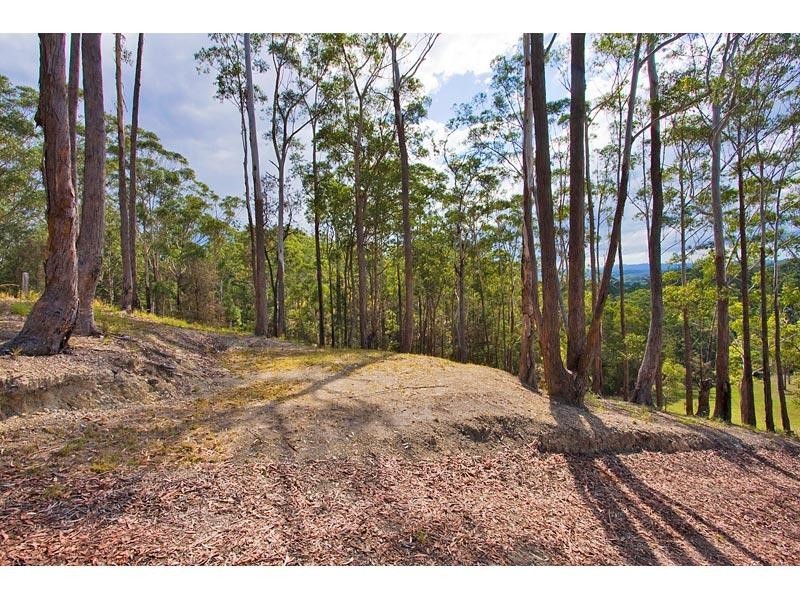 Lot 9 Clothiers Creek Road, Cabarita Beach NSW 2488