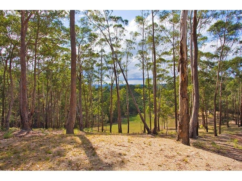 Lot 9 Clothiers Creek Road, Cabarita Beach NSW 2488