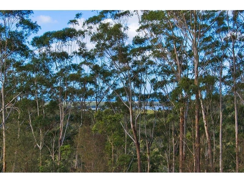 Lot 9 Clothiers Creek Road, Cabarita Beach NSW 2488