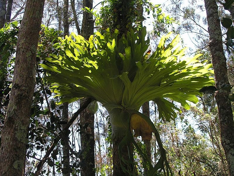 218 North Creek Road, Ballina NSW 2478