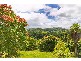 253 Palmvale Road, Palmvale, Palmvale NSW 2484