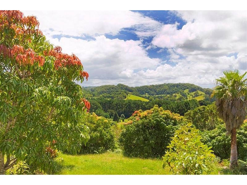 253 Palmvale Road, Palmvale, Palmvale NSW 2484