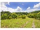 253 Palmvale Road, Palmvale, Palmvale NSW 2484