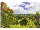 253 Palmvale Road, Palmvale, Palmvale NSW 2484