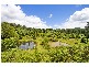 253 Palmvale Road, Palmvale, Palmvale NSW 2484