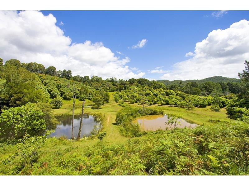 253 Palmvale Road, Palmvale, Palmvale NSW 2484