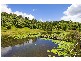 253 Palmvale Road, Palmvale, Palmvale NSW 2484