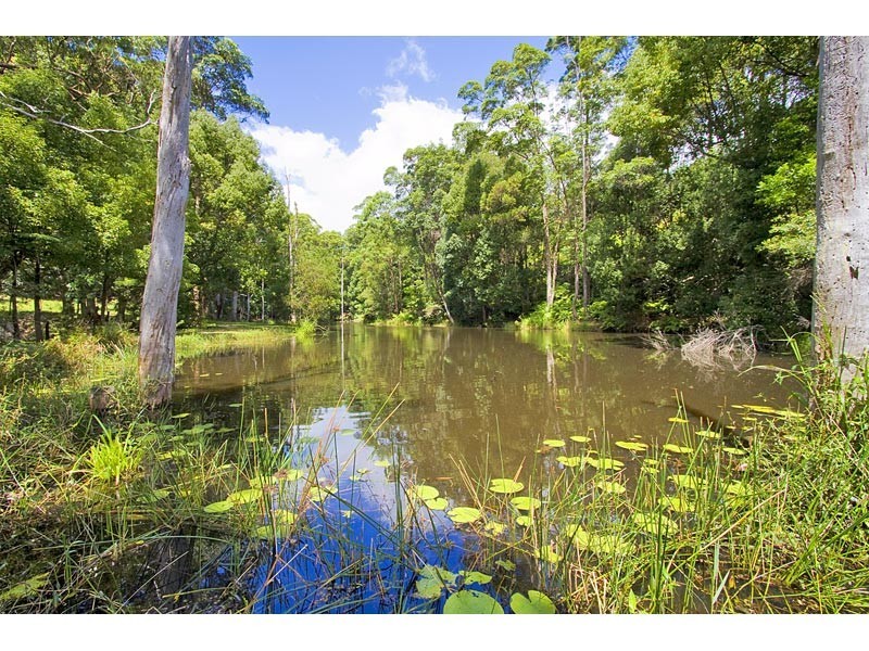 253 Palmvale Road, Palmvale, Palmvale NSW 2484