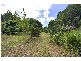 253 Palmvale Road, Palmvale, Palmvale NSW 2484