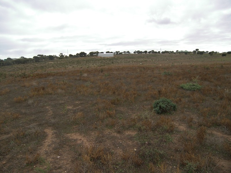 Sec 440 Government Road, Tickera SA 5555