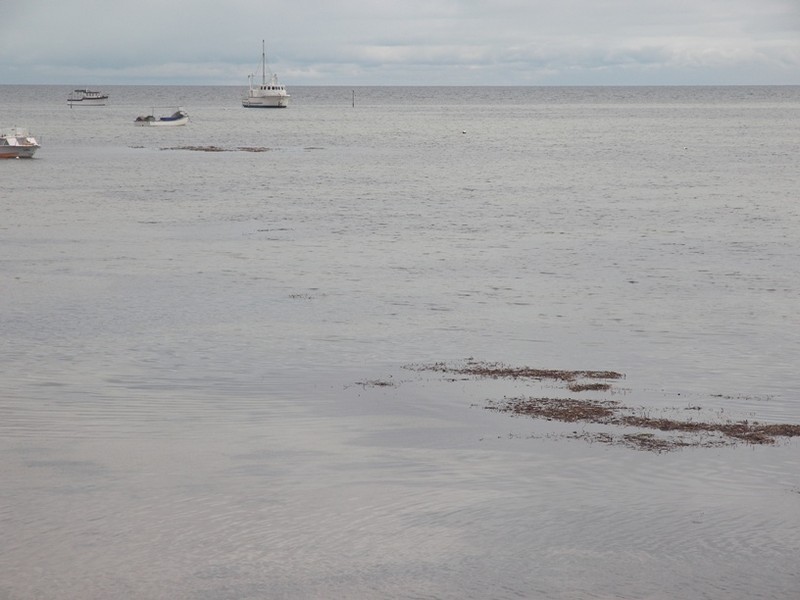 Sec 440 Government Road, Tickera SA 5555