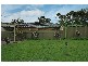 20 Redford Street, Paralowie SA 5108