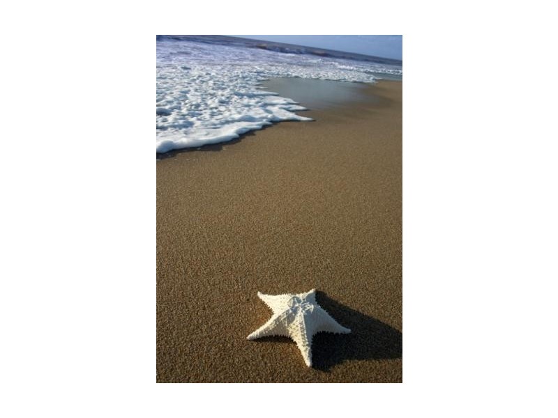 24 Lamorna Terrace, Largs North SA 5016