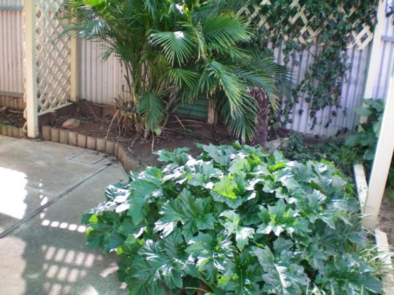 20 Nicholls Crescent, Burton SA 5110