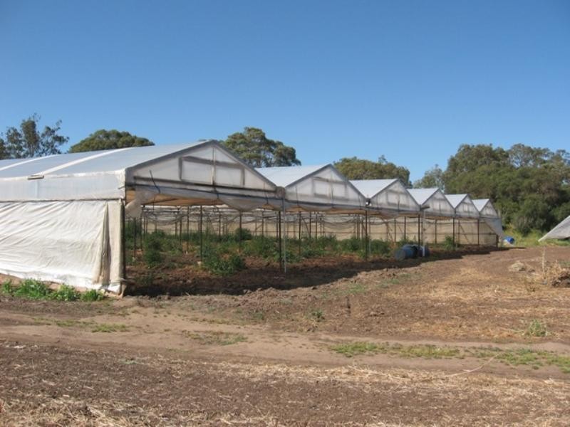 Lot 1 Stanton Road, Virginia SA 5120