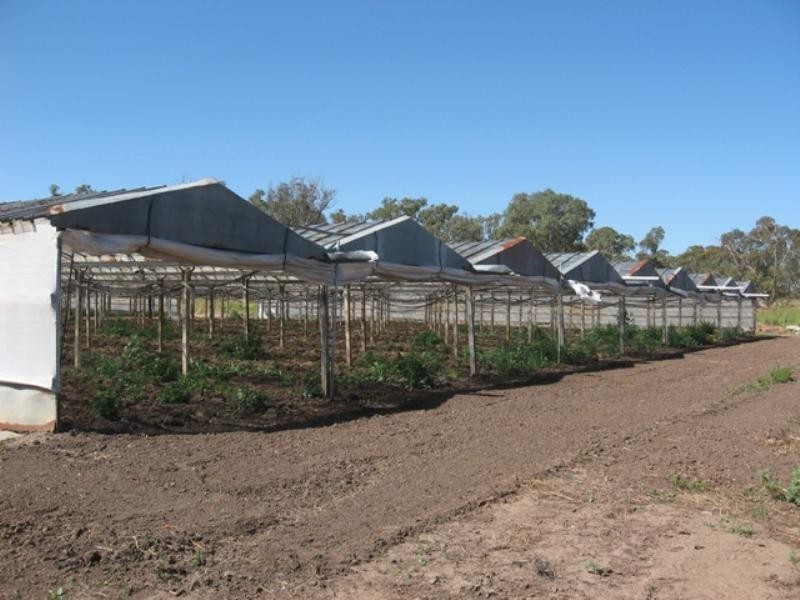 Lot 1 Stanton Road, Virginia SA 5120