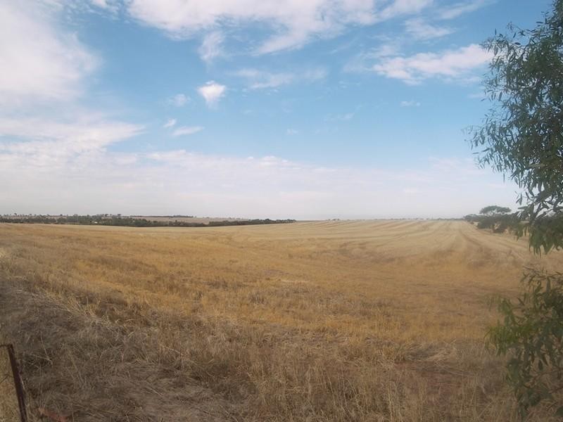 Lot 2 Hamley Bridge Road, Barabba SA 5460