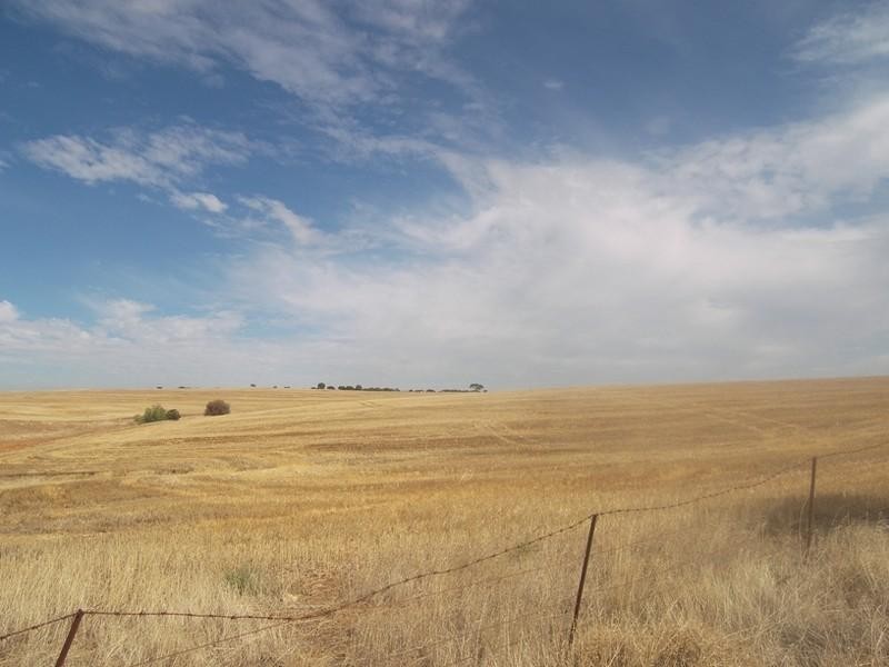 Lot 2 Hamley Bridge Road, Barabba SA 5460