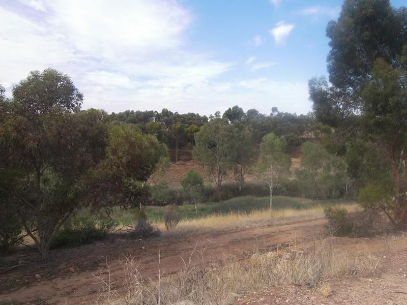 Lot 2 Hamley Bridge Road, Barabba SA 5460