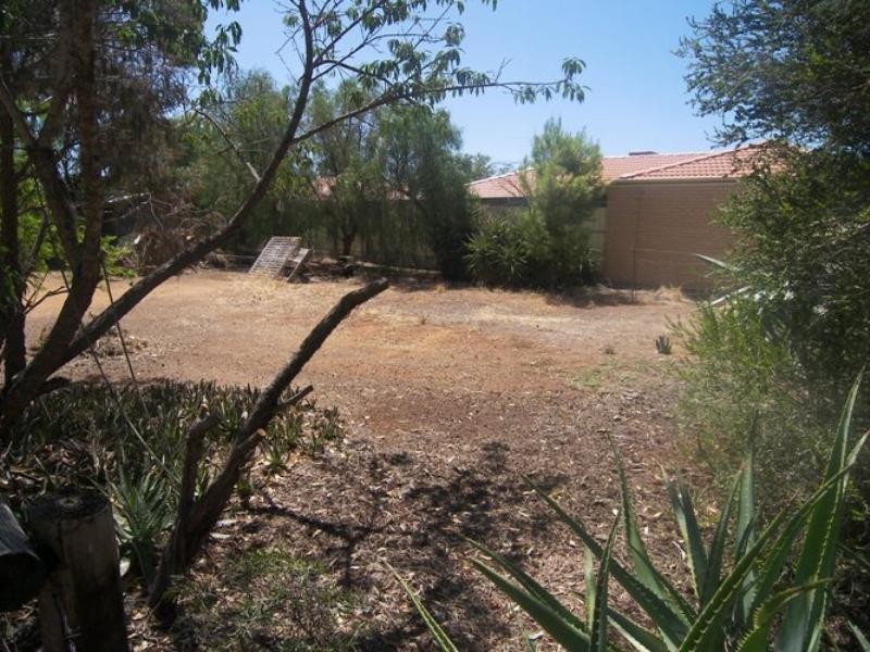 19 Iveleary Avenue, Salisbury East SA 5109