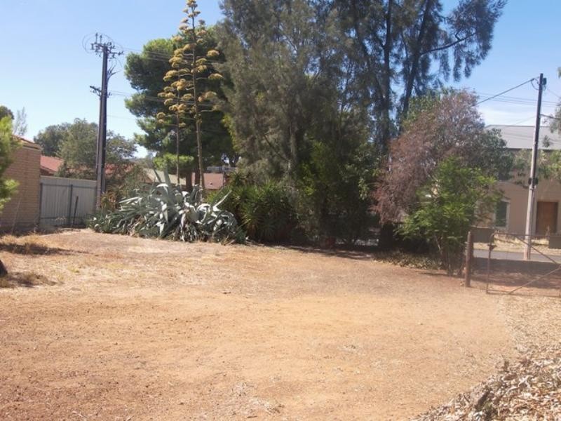 19 Iveleary Avenue, Salisbury East SA 5109