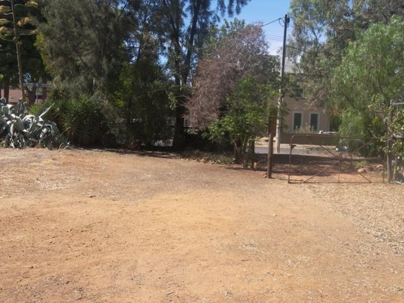 19 Iveleary Avenue, Salisbury East SA 5109